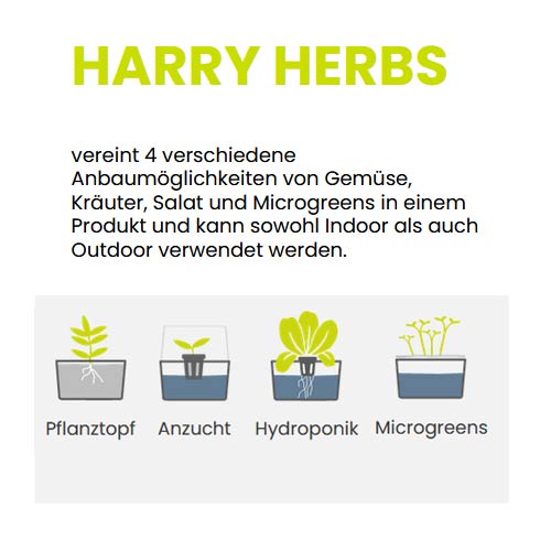 Harry Herbs Kräutertopf - weiß online bestellen - bei