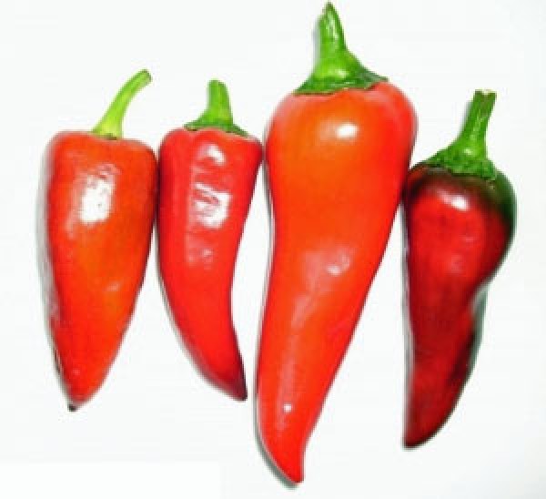 Capia_Pepper_Chili_Samen_B_Ware_1.jpg