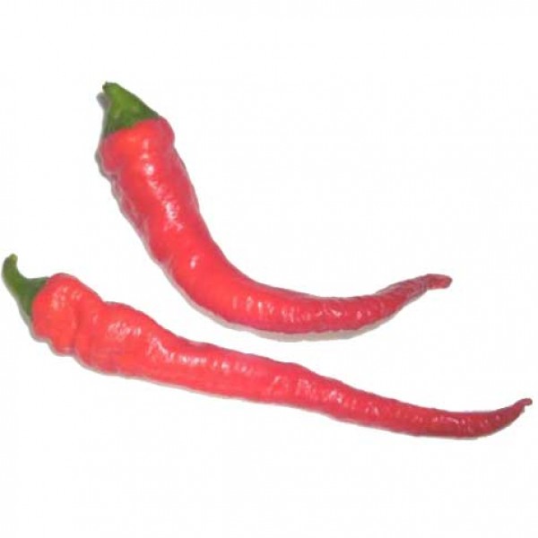 Cayenne_Thick_Chili_Samen_B_Ware_1.jpg