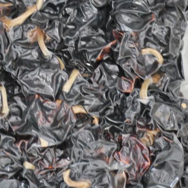 Cascabel Chili getrocknet 500g